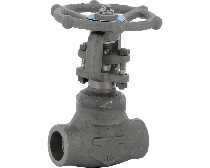Carbon steel A150N gate valve 117 TRIM 5 800 lbs SW 1/2''